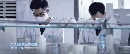 Z6·尊龙「中国区」官方网站