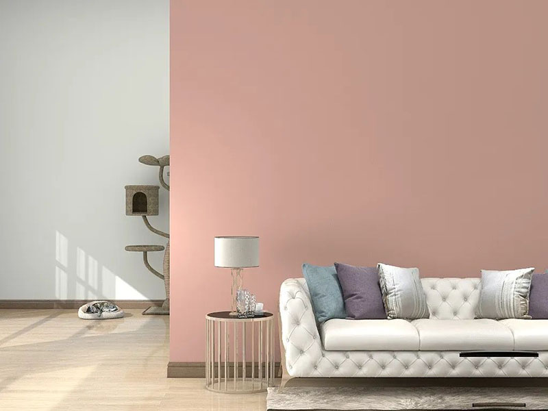 Z6·尊龙「中国区」官方网站