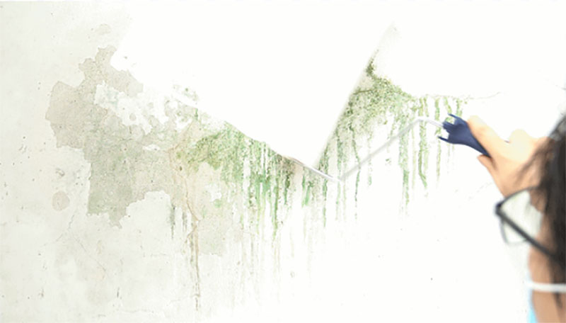 Z6·尊龙「中国区」官方网站